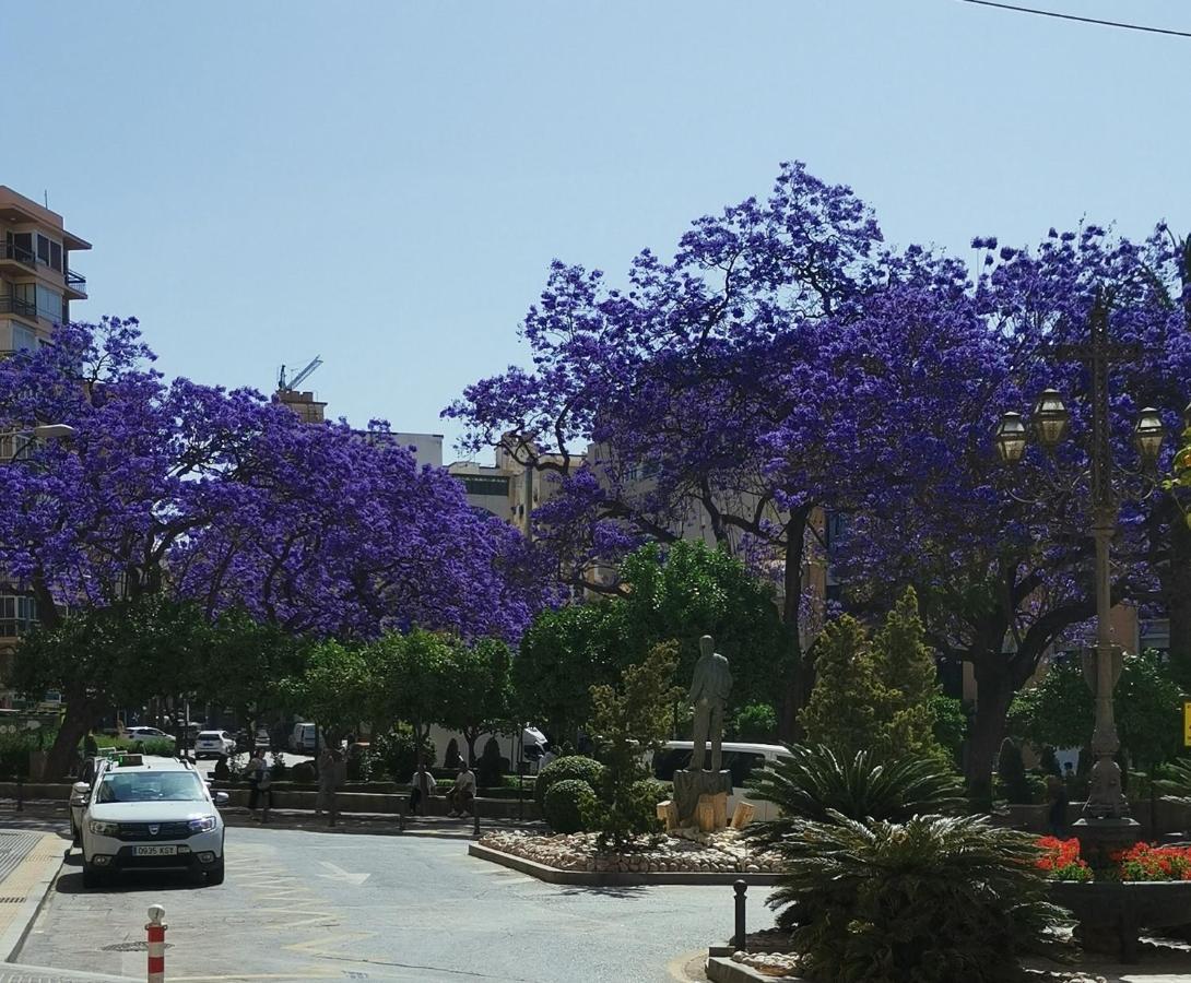 Encantador Bajo En * Malaga